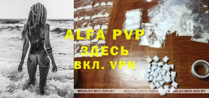 Alfa_PVP VHQ  даркнет телеграм  Кондопога 